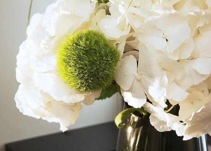 Hotel Local 101 Beaurepaire - Opening Summer 2026